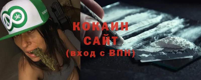 где купить наркотик  Инта  COCAIN Fish Scale 